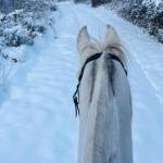 Jessica Aws offered this horseback in the snow photo.