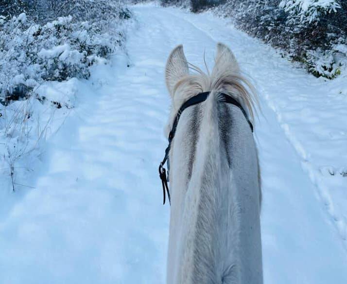 Jessica Aws offered this horseback in the snow photo.