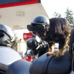 Gizmo the dog always joins his owner Dwayne Goner Fletcher on his motorcycle. Fletchers Oak Harbor-based motorcycle club, the Chauns of Island County, raised money for the Oak Harbor and Anacortes Boys and Girls Clubs this year. (Photo by Rachel Rosen/Whidbey News-Times)