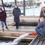 Photos by Rachel Rosen/Whidbey News-Times
From left, Kirsten Simonsen, Hailey Rosenthal, Nick Montagno and Jessie Howard watch as the salmon make their way into the Oak Harbor marina.