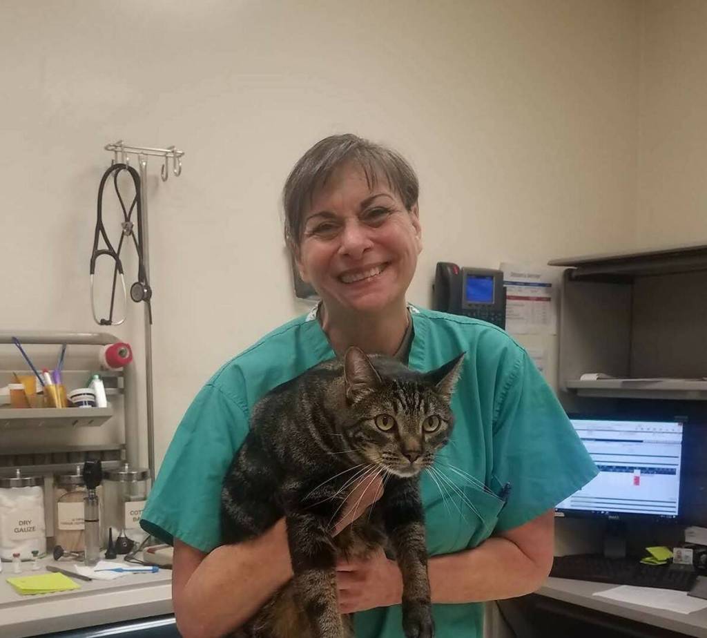 Donna DeBonis is a veterinarian and co-founder of Animal Advocates of Island County. (Photo provided)