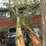 Photo by Karina Andrew/Whidbey News-Times