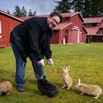 Photo by David Welton
Derrick Sutton feeds the furry denizens of Langley, who are featured in his book, The Day of the Jackalope.
