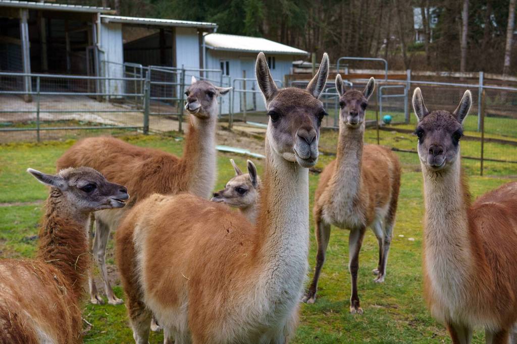 Photo by David Welton