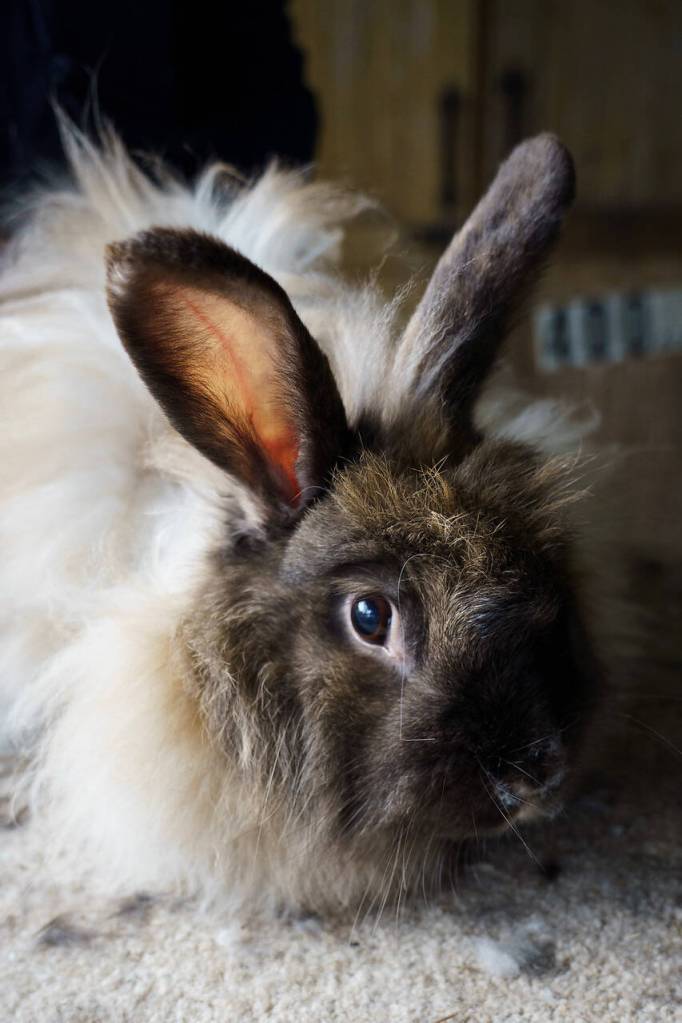 Photo by David Welton