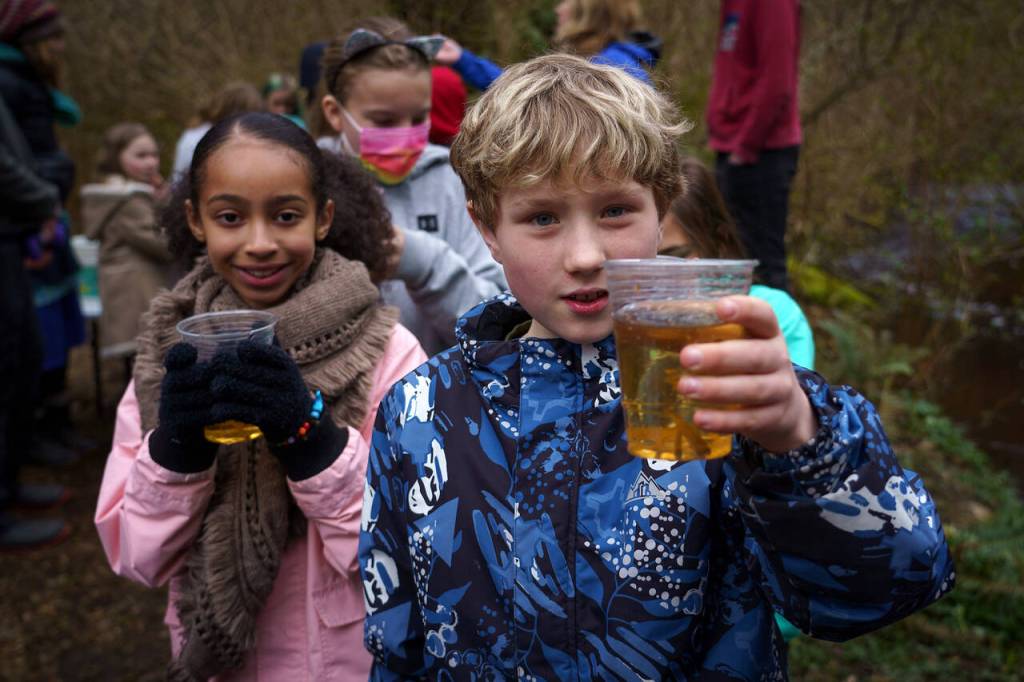 Kids spent the last few months monitoring the growth of salmon in a tank at South Whidbey Elementary School.