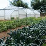 The Whidbey Island Conservation District recently formed the Oak Harbor Community Garden Coalition to engage with the public about urban gardening and nutrition. (Photo provided by the Washington State Conservation Commission)