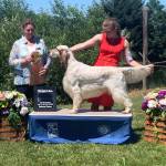 Gabriella Gebhard competes at a dog show. (Photo provided)