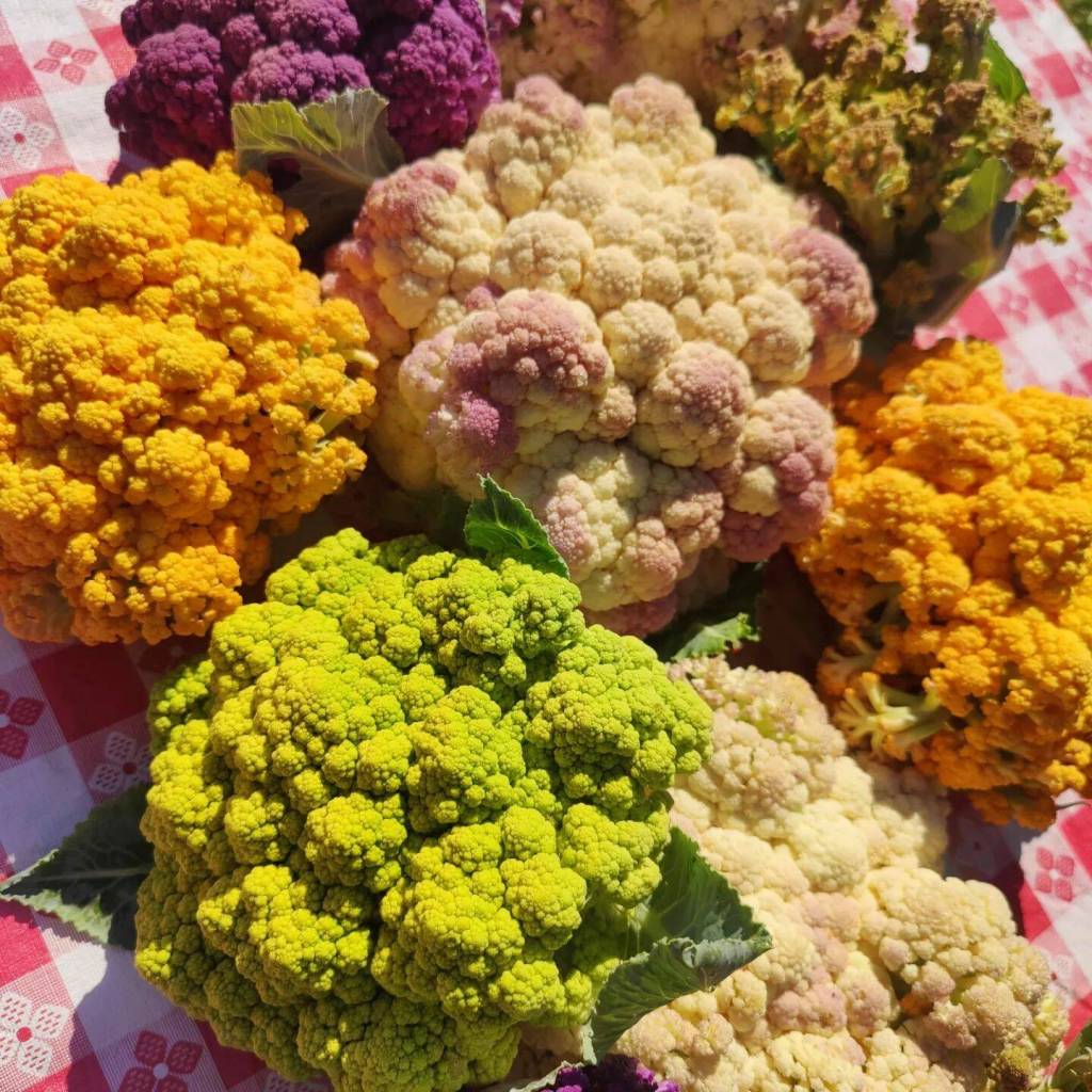 Coupeville Farmers Market (Photo provided)