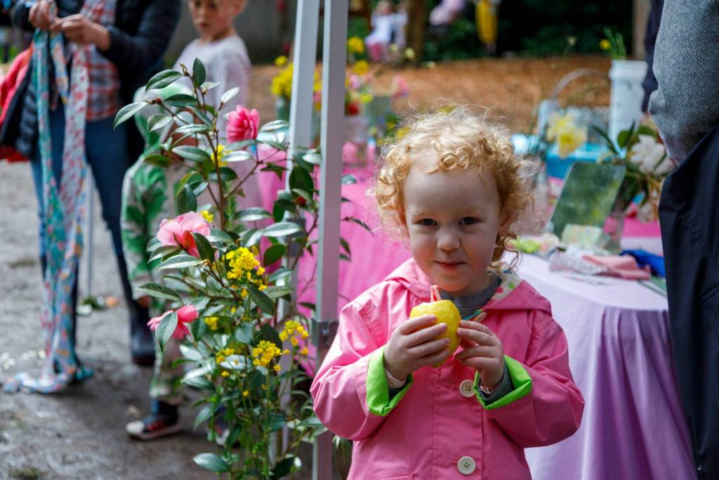 Photo provided
Lemon peppermint wands are a staple of past Waldorf Mayfaire celebrations and will be available at this years Festival of Flowers.