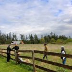 Photo provided
Volunteers help clean up the historic working farm on Keystone Preserve during a work party April 26.