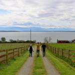 Photo provided
Volunteers help clean up the historic working farm on Keystone Preserve during a work party April 26.