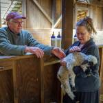 Photo by David Welton
Ken and Nan Leaman care for a 2-day-old lamb.
