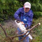 Volunteer Al Wilcox runs a chainsaw at a Freeland work site.