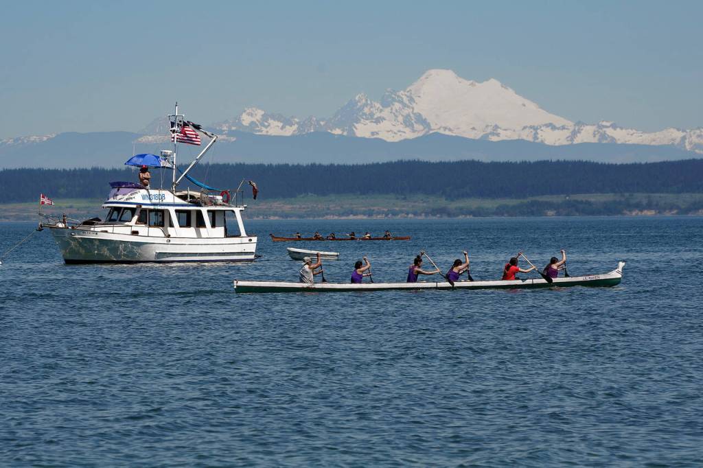Photo by David Welton
Members of various Coast Salish tribes participate in canoe races at the Penn Cove Water Festival May 13. This years festival was the first since the beginning of the COVID-19 pandemic to hold the traditional canoe races.