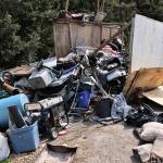 Photo by John Fisken