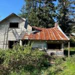Photo courtesy of Marian Myszkowski
The before view of a house set to be demolished on Langley Road before an intact log cabin was discovered within its walls. The cabin possibly dates back to the 1850s to 1880s. An addition of a kitchen and bathroom in the 1930s also added siding and interior walls that enclosed the timber frame.