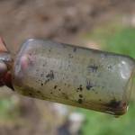 Photo by Patricia Guthrie
This old medicine bottle from Lees Pharmacy in Seattle was found in the dirt outside the log cabin.