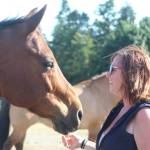 Photos by Karina Andrew/Whidbey News-Times
Django, one of three therapy horses at Iron Mills Ranch, greets Alexis Mills.