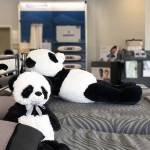 If you're looking for a new mattress, stop by ESC Mattress Center, where they guarantee that your new mattress is just that — new! They offer great prices and great, personal service, so you can rest easy and sleep well.