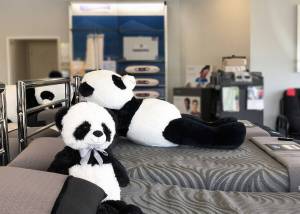 If you're looking for a new mattress, stop by ESC Mattress Center, where they guarantee that your new mattress is just that — new! They offer great prices and great, personal service, so you can rest easy and sleep well.