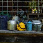 Photo by David Welton
A collection of coffee pots at Someday Farm.
