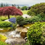 Cascading waterfalls are a feature of Useless Bay Estate.