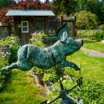 Photo by David Welton