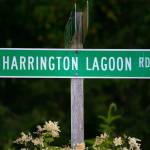 Harrington Lagoon Road runs through the Harrington Lagoon neighborhood on June 22, 2023, in Coupeville, Washington. (Ryan Berry / The Herald)