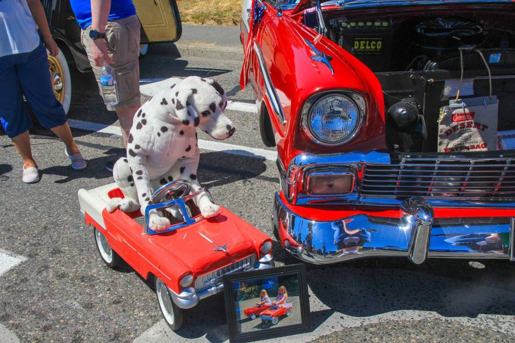 Spot, the Dalmatian driver, poses on his pedal car next to Michael Harris 1956 Chevrolet Bel Air Sport Coupe. (Photo by Luisa Loi)