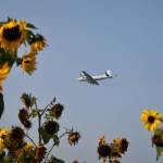 Photo by Roann Barrera