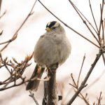 Photo by Bailey Darnell