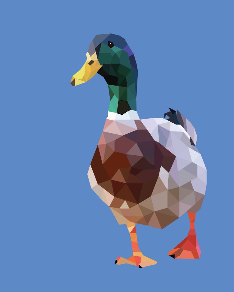 Image by Emelyn Payne