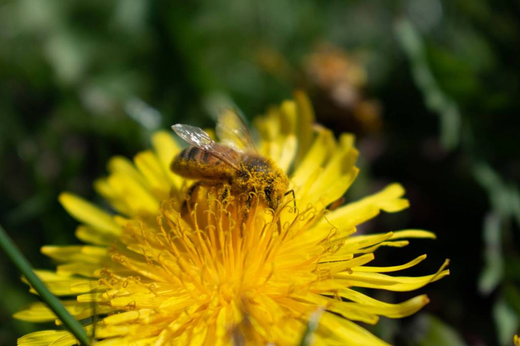 Photo by Faith Dalio