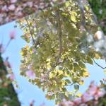 Photo by Laurianna Newcomb