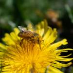 Photo by Faith Dalio