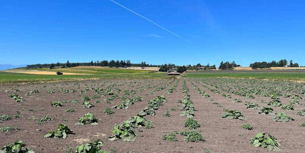 Photo by Harry Anderson