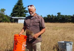 Robert Pelant holds a bouquet of wild plants. (Photo by Luisa Loi)