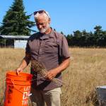 Photo by Luisa Loi
Robert Pelant holds a bouquet of wild plants.