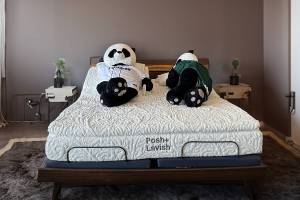 Adjustable beds can increase comfort and improve sleep. Most couples can agree on a sleeping position, and split king beds can add more versatility. Learn more at ESC Mattress Center in Everett.