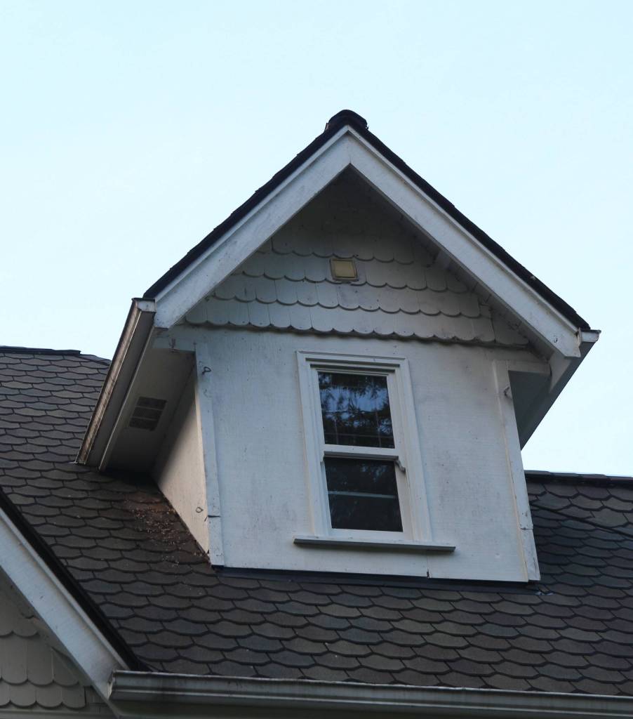 Bat guano can be seen on the left side of the photo, under the vent. According to Powell and Riecken, the guano wasnt there when they bought the house. (Photo by Luisa Loi/Whidbey News-Times)