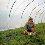 Watermelon is nearing harvest at Foxtail Farm. (Photo by David Welton)