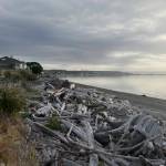 A beachfront property in Oak Harbor will be protected under the Conservation Futures program.