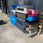 Photo provided
Kennels of all sizes and colors have been dropped off this week at Critters and Co. Pet Center and Rescue in Clinton.