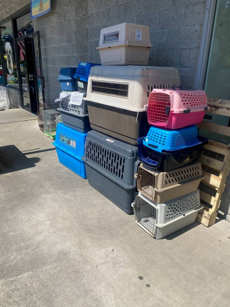 Photo provided
Kennels of all sizes and colors have been dropped off this week at Critters and Co. Pet Center and Rescue in Clinton.