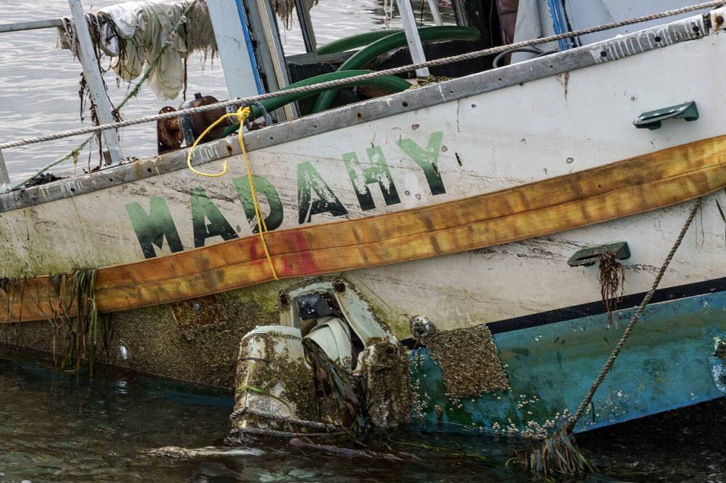 Photo by David Welton
Besides the name on its side, little else is known about the Madahy.