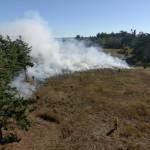 A section of the Admiralty Inlet Natural Area Preserve on fire, shot from a drone. (Photo by Rachel Stern)