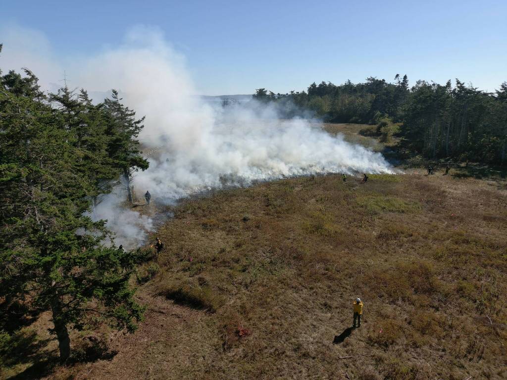 A section of the Admiralty Inlet Natural Area Preserve on fire, shot from a drone. (Photo by Rachel Stern)