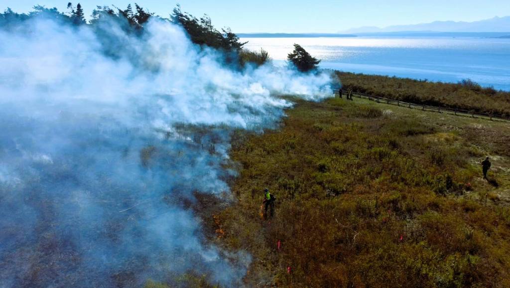 Photo by Rachel Stern