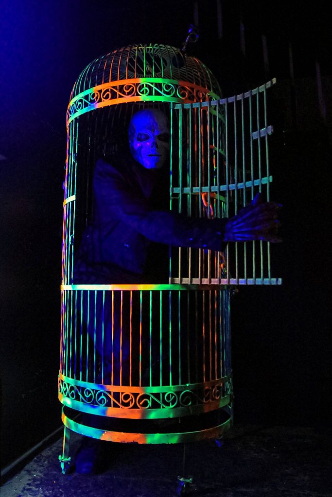 Photo by Luisa Loi
Jack Twisted prepares to crawl out of a cage.